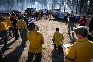 A group of firefighters standing in a circle being briefed in a forest.