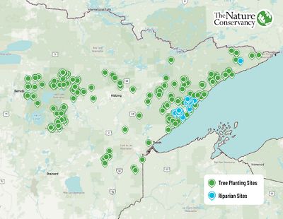 Map of northern Minnesota with green dots to show tree planting sites and blue dots to show riparian restoration sites.
