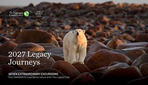 The cover image of the 2027 Legacy Journeys brochure features a polar bear standing on large, rounded shoreline rocks beside the calm water of the Hudson Bay in Canada. 