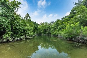 A clear creek lined by dense, green trees.