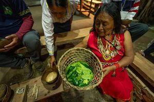 Woman with basket of leaves.