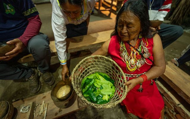 Mulher com cesto de folhas.
