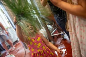 A young girl with curly blond hair wearing a pink dress holds up a longleaf pine branch. The end of the branch fans out with long green pine needles.