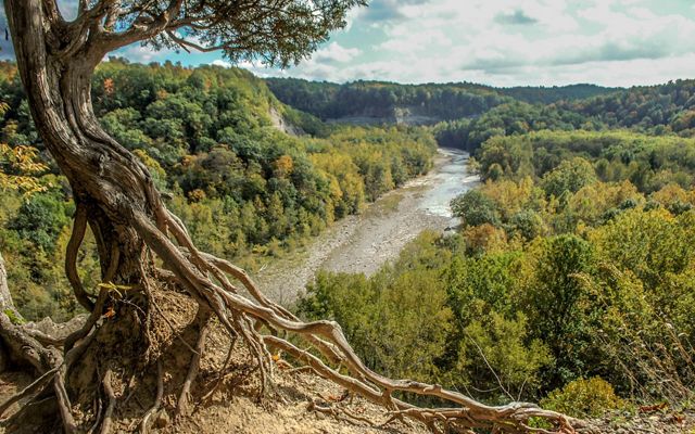 The roots of a brown tree across a dirt trail is in the foreground and a green-tree-lined valley with a river running through it is in the background.