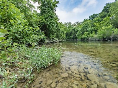 Clear water ripples and flows over smooth stones in a creek bed lined with thick, green shrubs and trees.