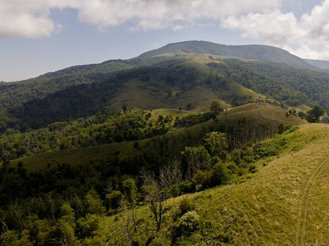 A view of rolling green hills in Southwest Virginia.