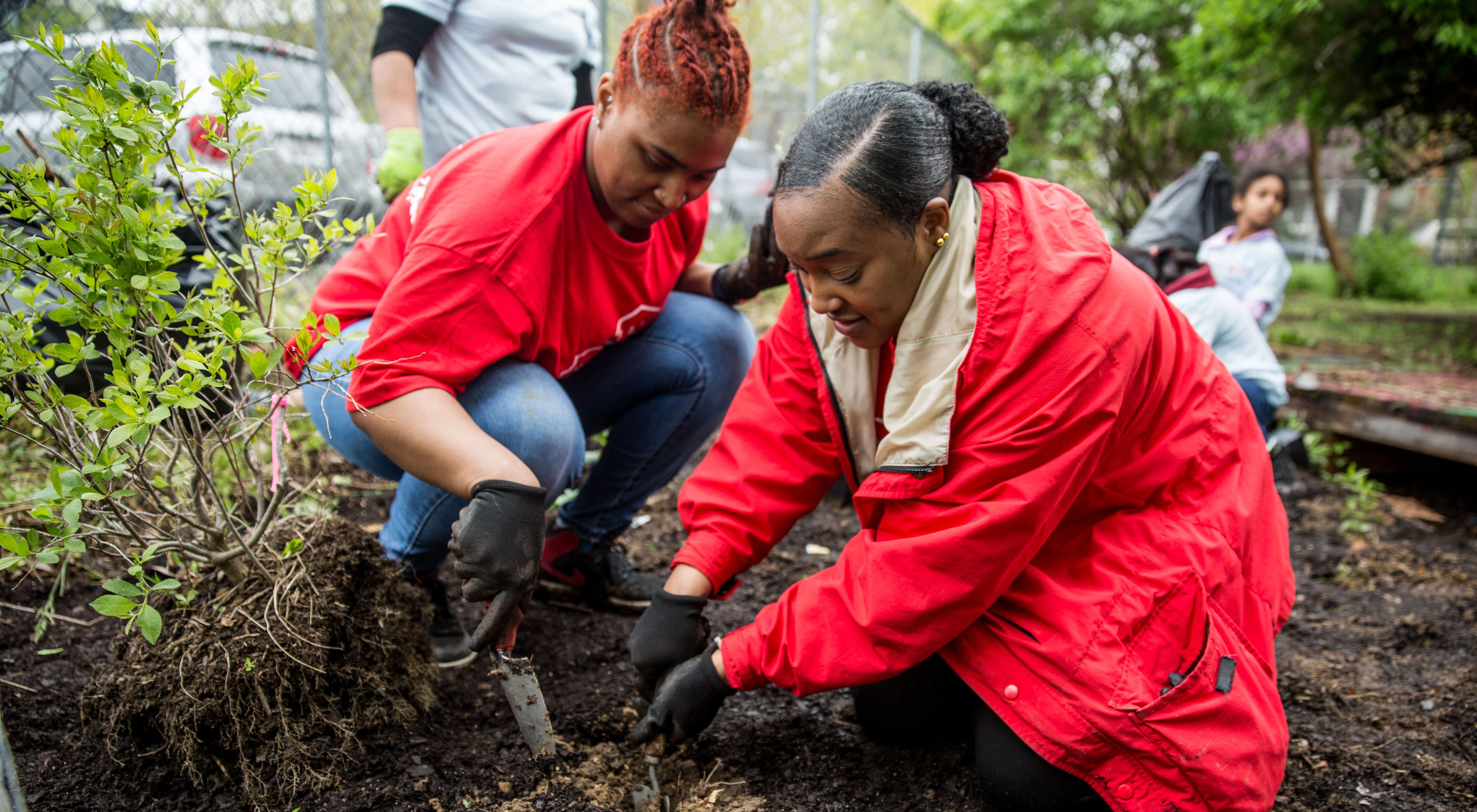 Two women dig in the dirt of a garden.