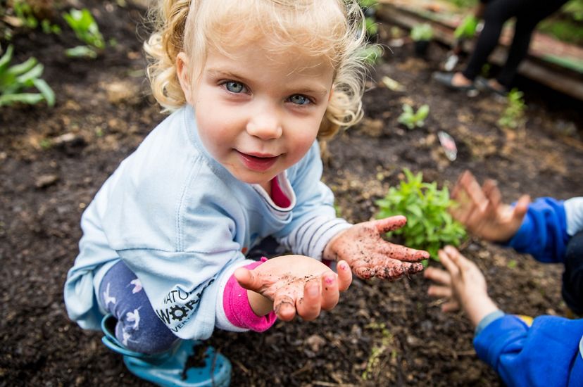 A blue eyed toddler crouches in the dirt during a school garden volunteer event. Her hands are covered in dirt. The hands of another child are visible next to her, blurred from brushing away dirt.