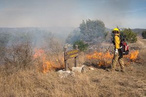 A fire practitioner in yellow protective gear monitors orange flames as they lick at brown shrubs and grass next to a wooden sign that reads Love Creek Preserve.