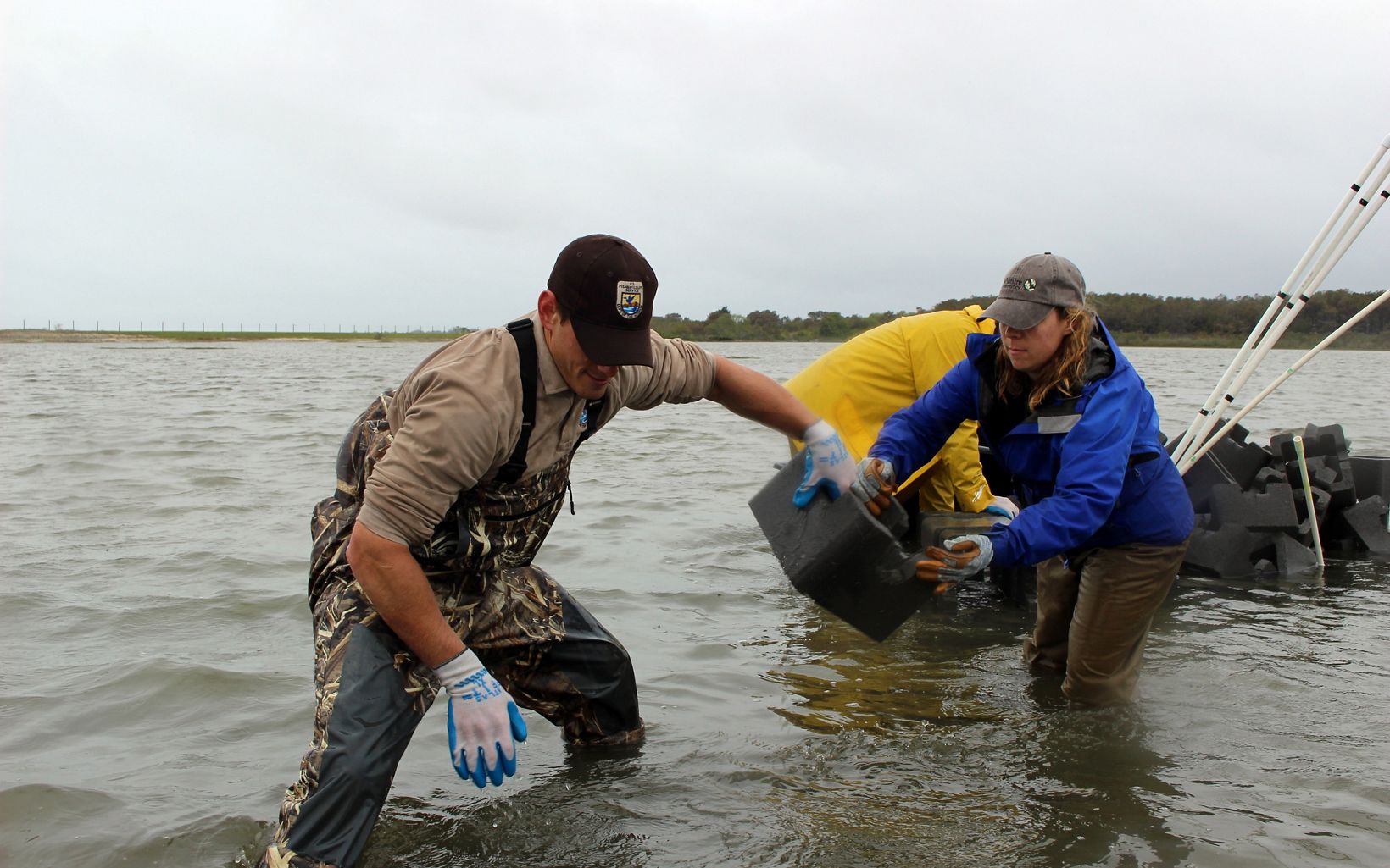 Coastal Resilience As you make your way to Chincoteague National Wildlife Refuge, keep an eye out for the oyster reefs in Tom's Cove built by TNC, USFWS and other partners. © Daniel White/TNC