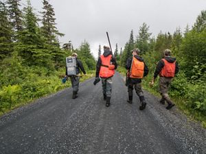 Members of the Hoonah Native Forest Partnership walk to a study site.