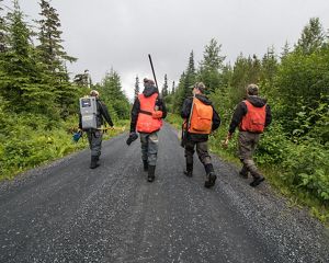 Four people wearing orange safety vests and carrying equipment walk down a dirt road in a forest.