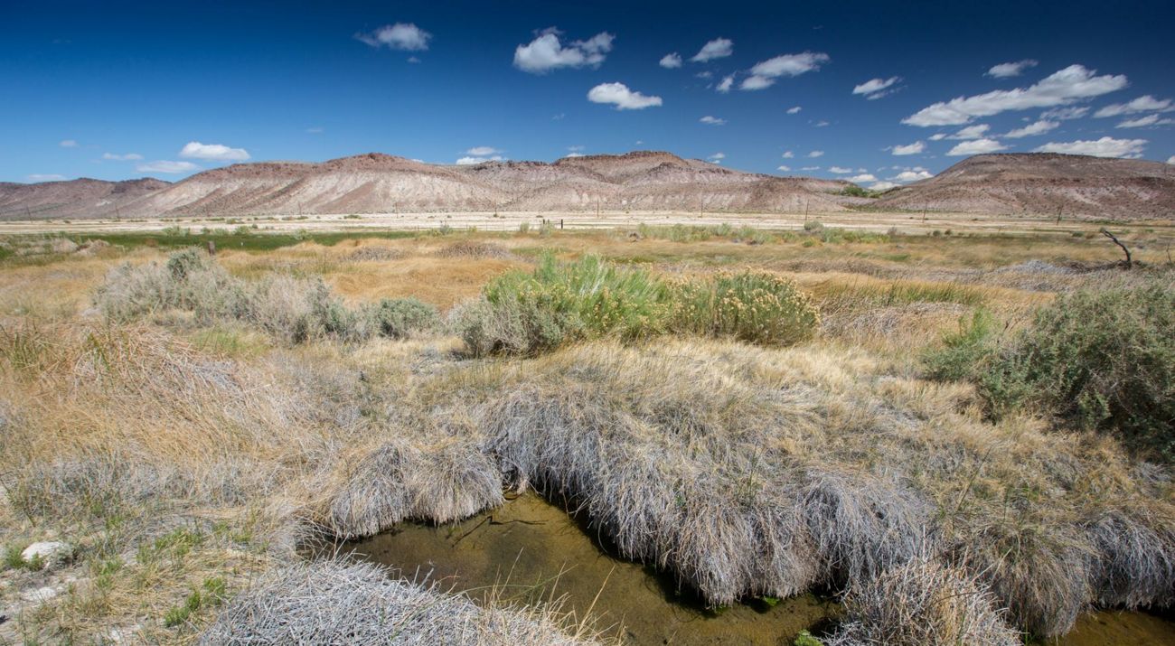 Torrance Ranch Preserve, NV