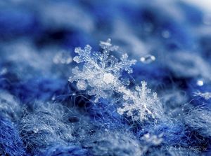  Micro closeup of a crystalline snowflake on a piece of royal blue fabric.