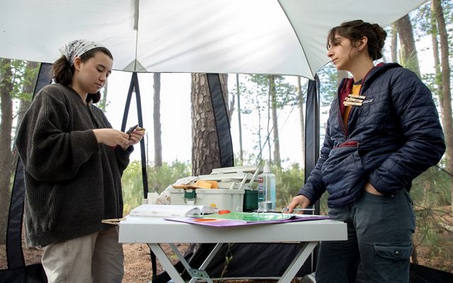 Two women stand across from each other with a long folding table between them. The table holds a number of materials and supplies needed for a bird banding project.