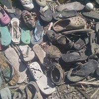 Flip flops gathered by mystery volunteer at McCarran Ranch Preserve on the Truckee River.