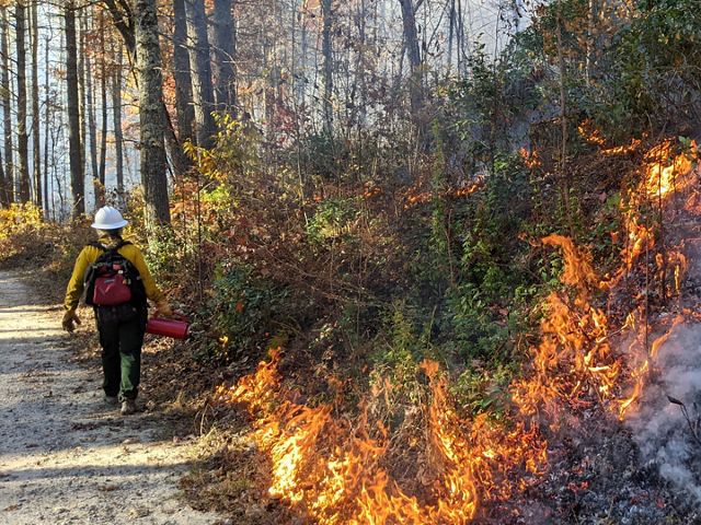 controlled burn at dupont state forest