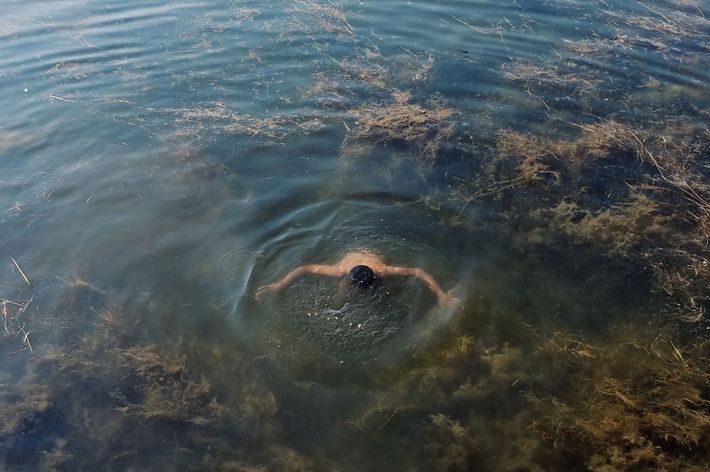 A person cleaning the Lakes of excessive sea vegetation due to hot climate as well as waste being dumped into the lake.