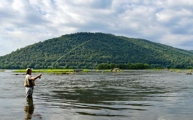 A person stands in a body of water casting a fishing line. There is a large lush mountain in the background.