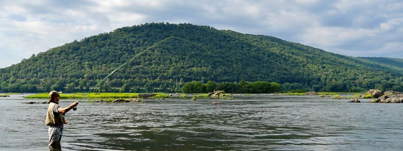 a body of water sits in front of a small mountain.