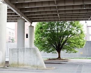 Spaghetti Junction, Louisville