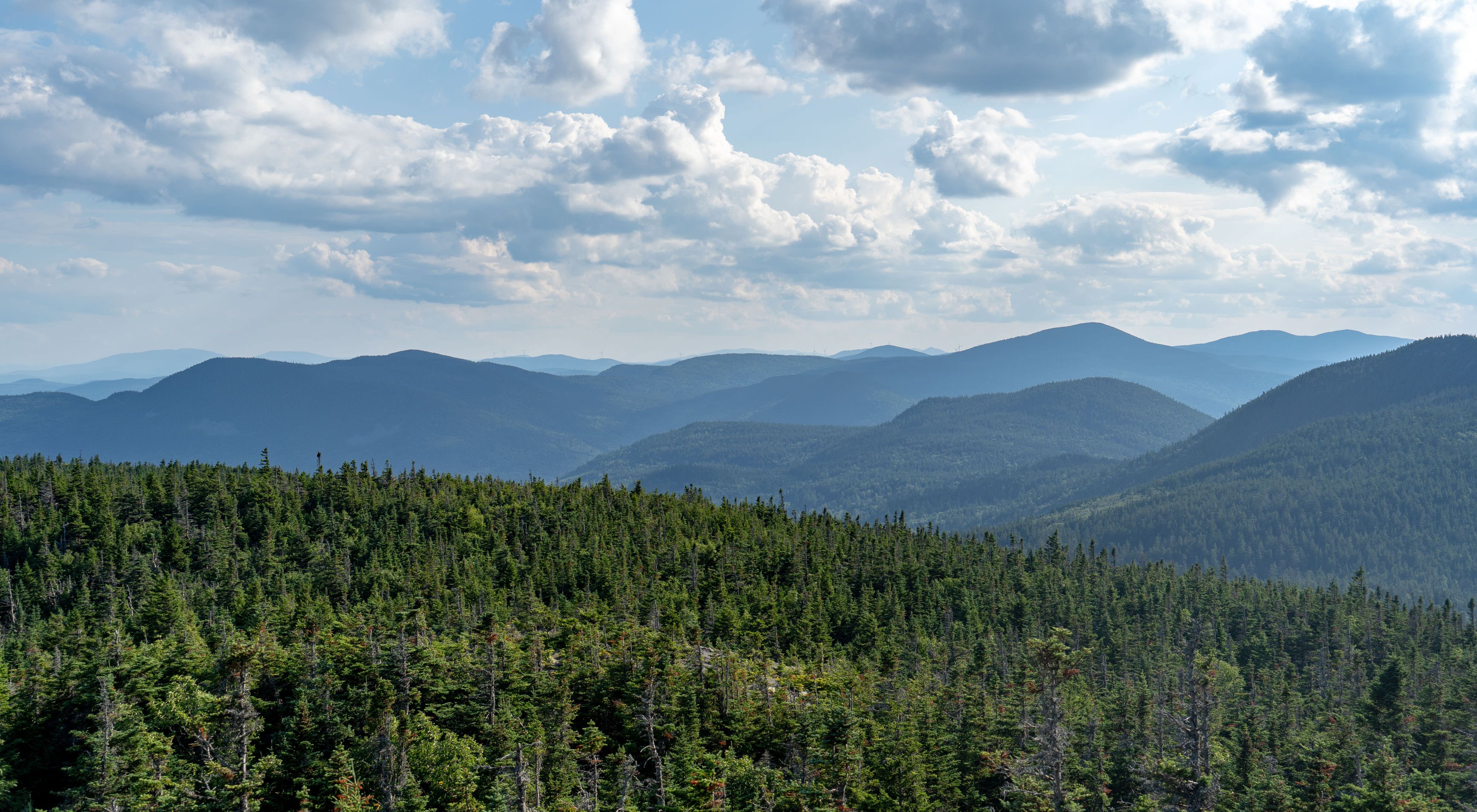 Photo of forests and hills from a mountaintop of northern Maine forests under a cloudy summer sky.