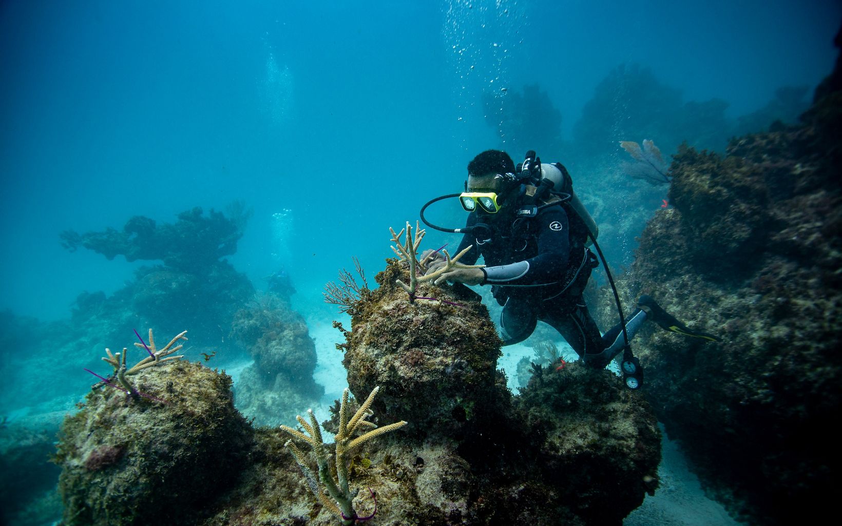 Muhajir McLauda (with TNC), photographing healthy corals and sponges in the waters off Kofiau, part of the Raja Ampat Islands of Indonesia. 