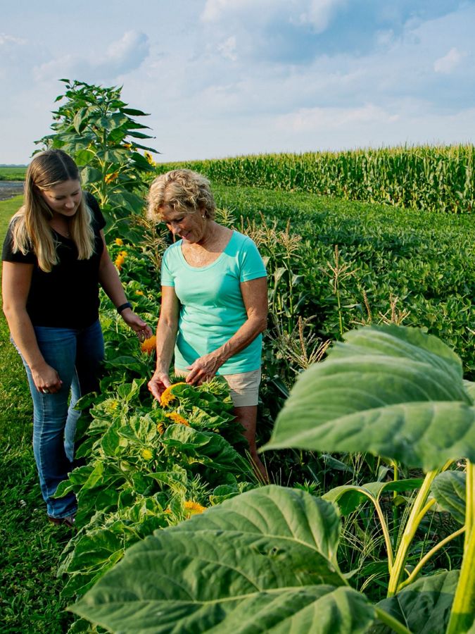 Two women examine crops in a field. 