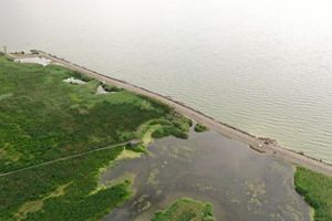 Aerial of a wetland. 