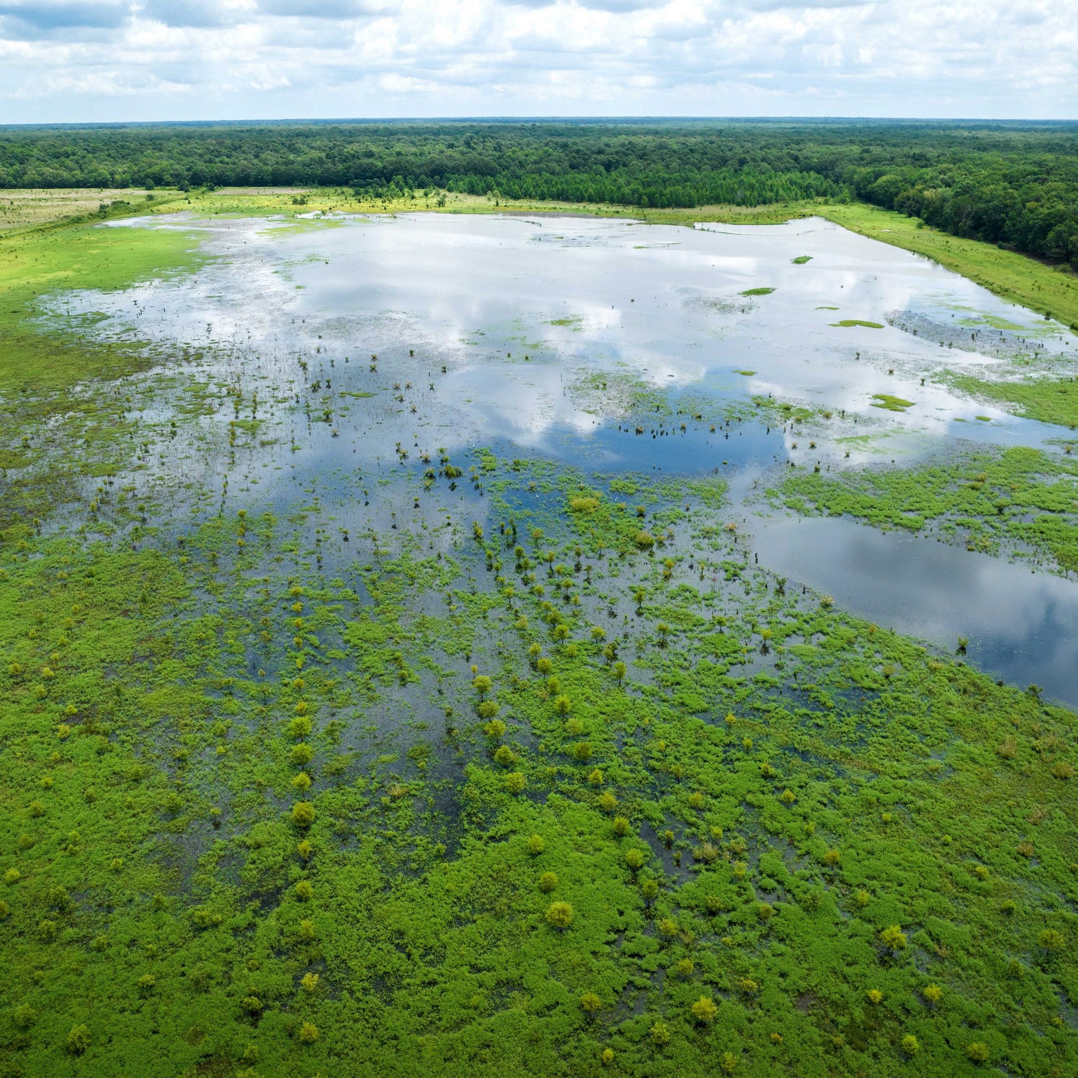 Aerial view of a flooded farm field.