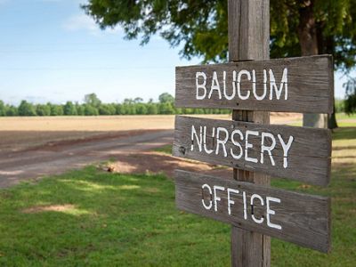 A wooden sign with the words Baucum Nursery Office stands at the edge of a field.