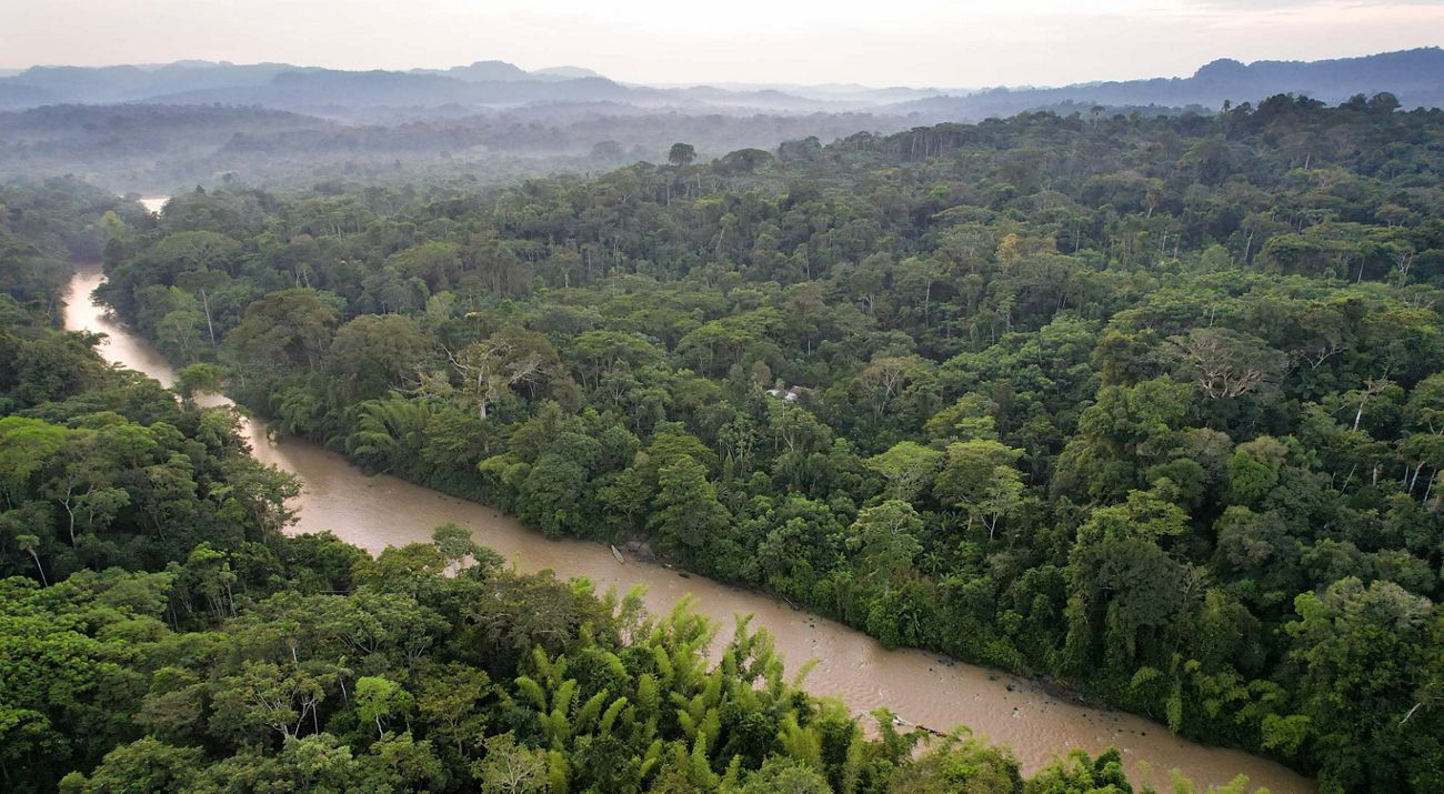 antena de un estrecho río de agua marrón claro que atraviesa una densa selva tropical llena de árboles de color verde oscuro.