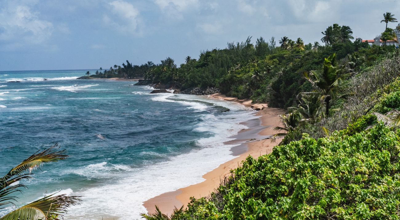 Beach on Puerto Rico with waves lapping up on shore and lush forest at the beach's edge.