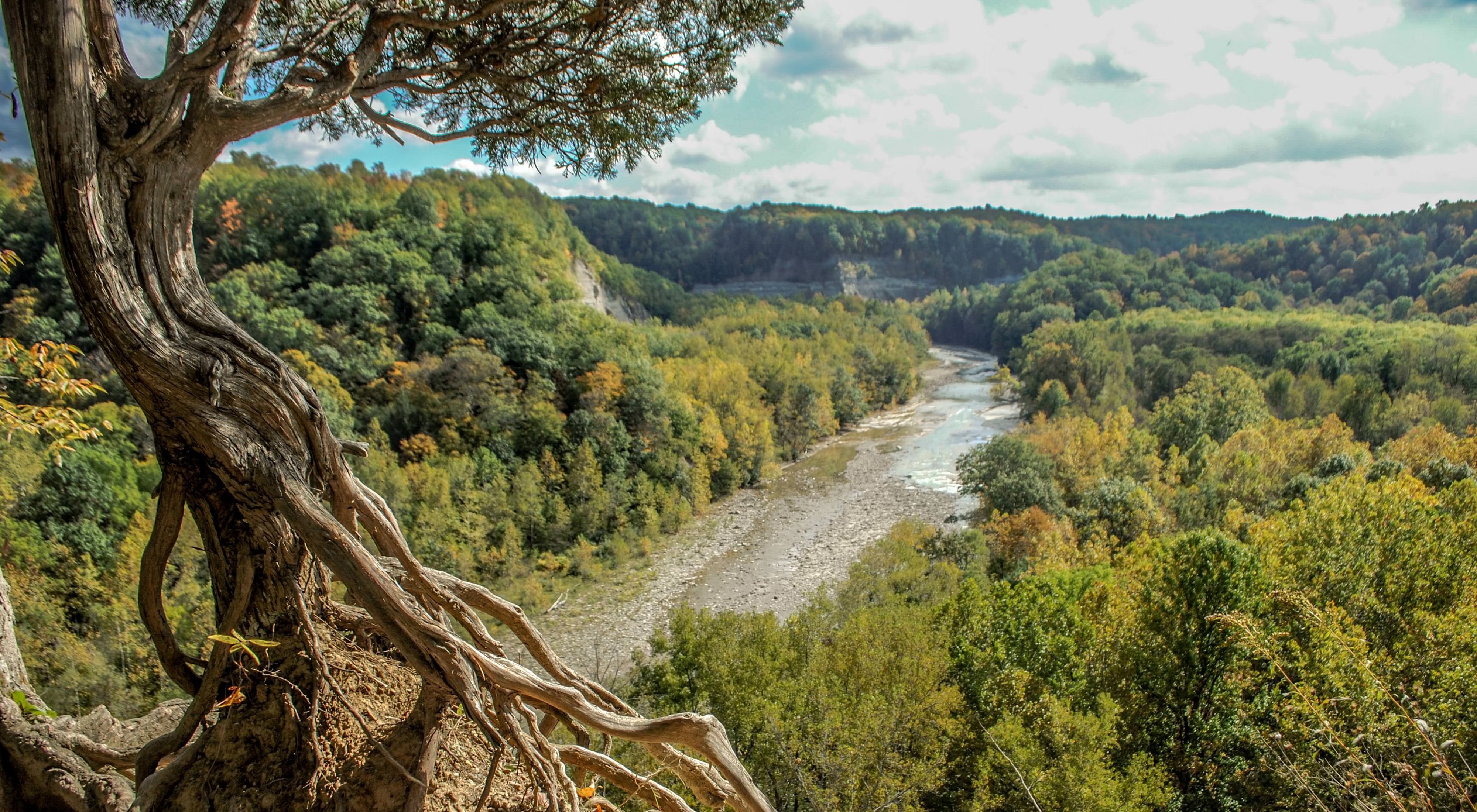 View through a tree overlooking a river and forest  in Zoar Valley