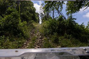 Looking through the open windscreen of a utility terrain vehicle as it drives up a steep, unpaved mountain track that cut between tall trees.