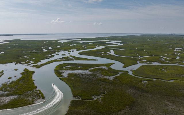 Aerial drone view looking down on a small boat navigating through the main branch of a coastal channel. Smaller channels bend and curve through the wetlands.