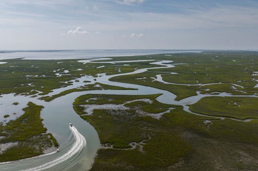 Aerial view looking down on a small boat cruising through a wide coastal channel that curves and meanders through wetlands and marsh on its way to the Atlantic Ocean.
