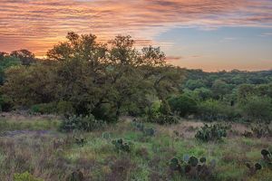 A rolling vista with ample cactus, shrubs, and oak trees is backlit by a fading orange and pink sunset at Cibolo Bluffs.