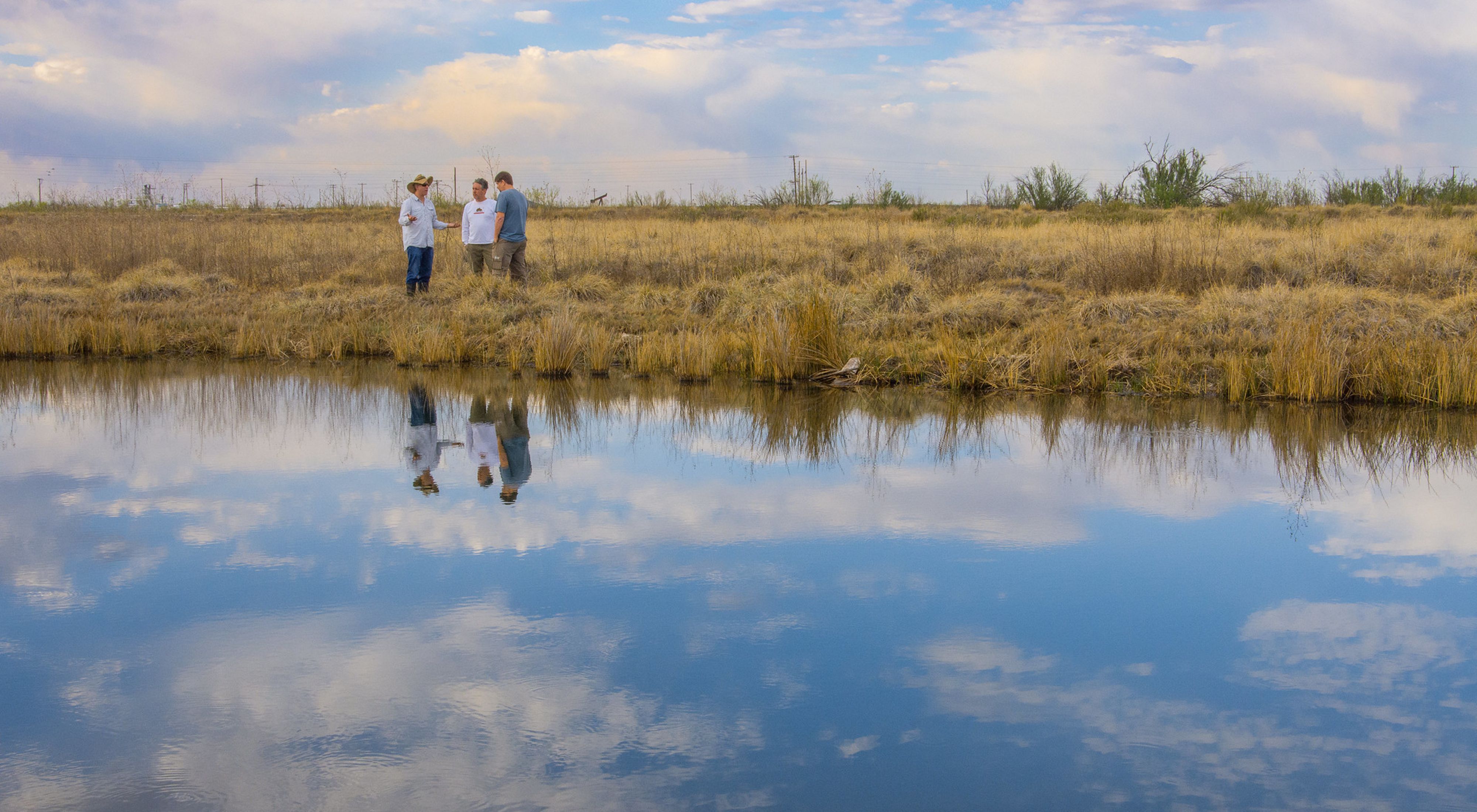 Three men stand beside a small pool of blue water in field of tall yellow grass.