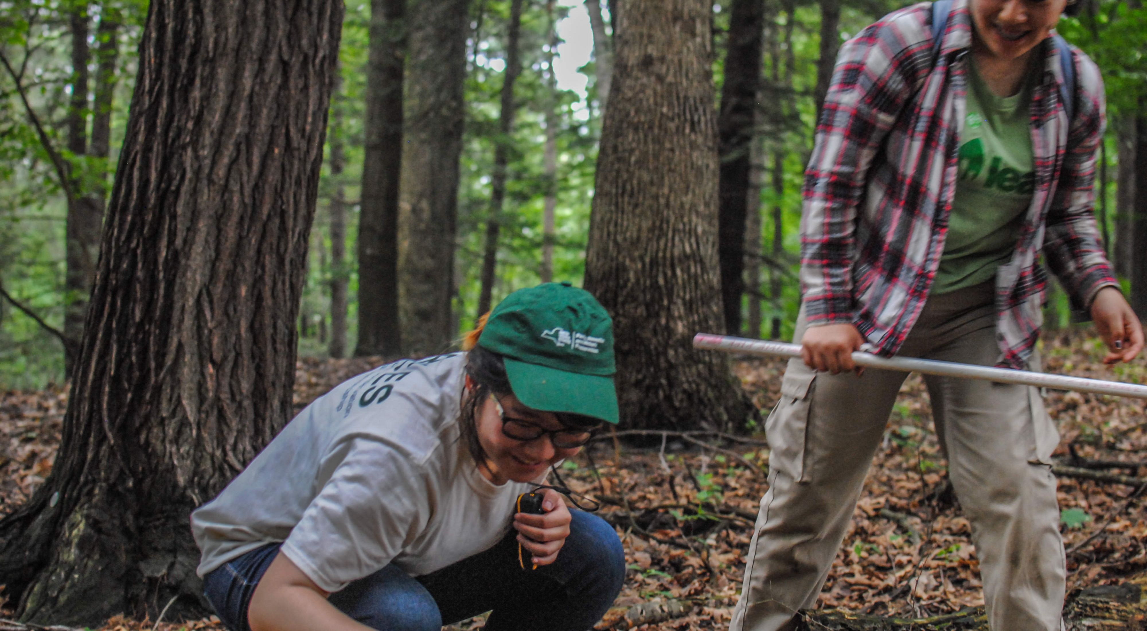 Two trail stewards collecting data on the forest floor.