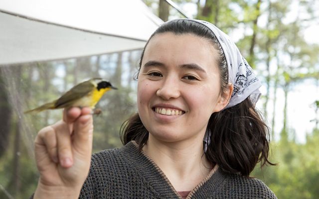 A smiling woman holds a small bird by its feet. The bird has greenish black wings, black face, gray cap and yellow breast.