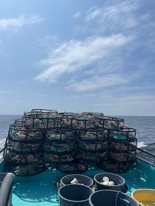 Crab fishing gear on a boat.