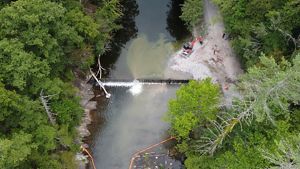 Lower Citico Creek dam.