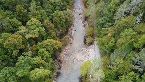 Lower Citico Creek after the removal of the dam.