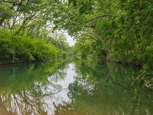 The clear waters of a small creek reflect the thick green vegetation that lines its banks.