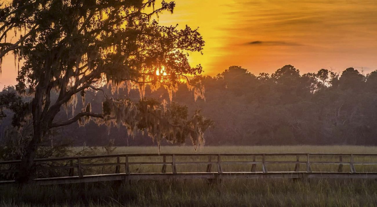 A perfect lowcountry sunset as seen through a moss draped oak tree.
