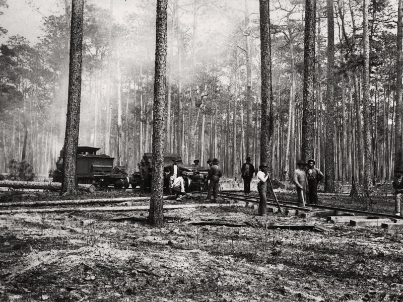 A group of men stand by a line of rails and wooden ties as they build a railroad through a longleaf pine forest. The area in the foreground has been cleared to bare earth.