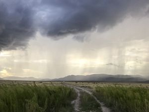 Virga falls from dark clouds over a gravel road etched through tall grass.