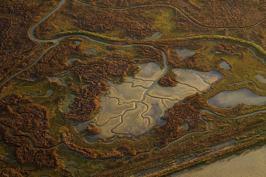 San Pablo Bay wetlands
