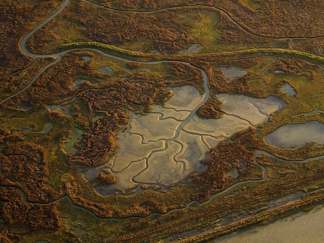 Patterns emerge in a reclaimed wetlands area on the San Pablo Bay. Photographed from a small plane at sunset for the golden light.